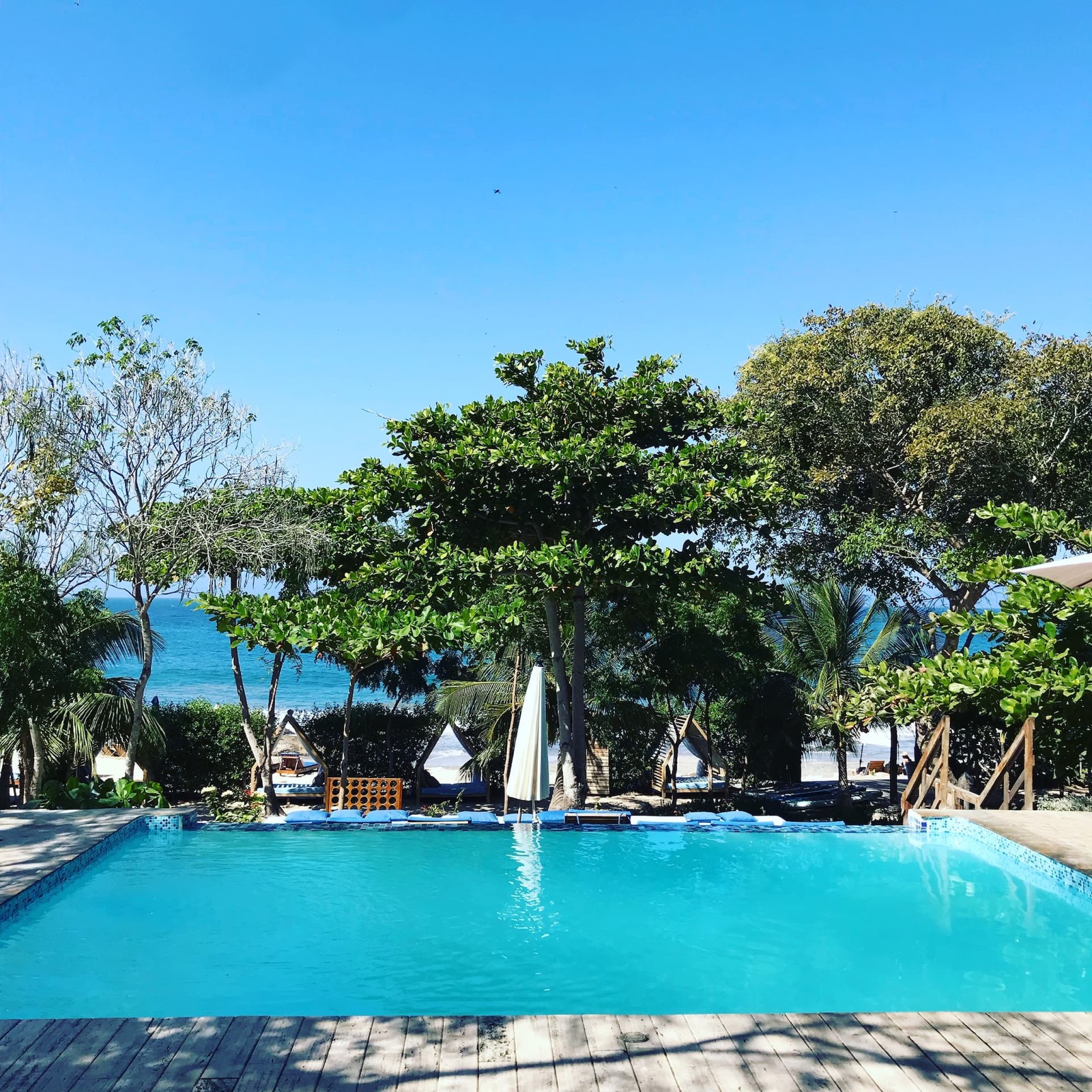 Blue Apple Beach House Mansion Photo 4